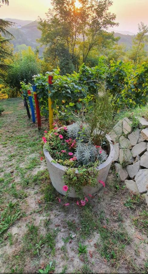 Villa Le rose di Mapi à Mango Extérieur photo
