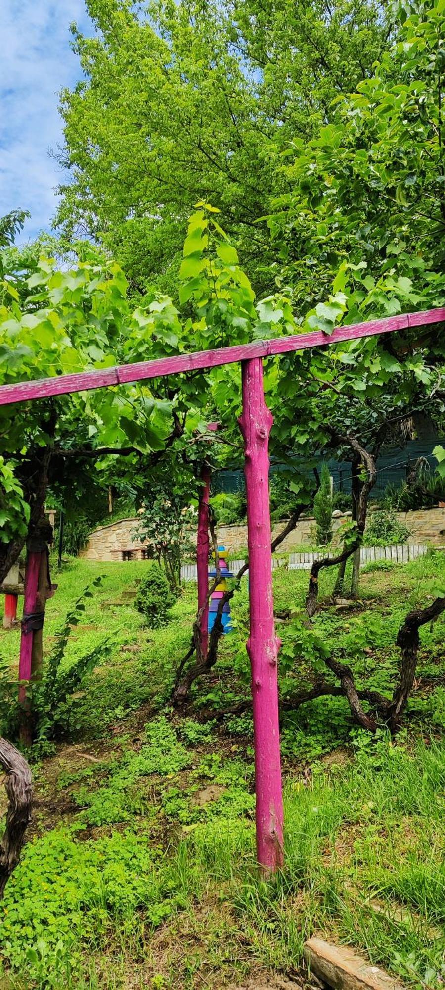 Villa Le rose di Mapi à Mango Extérieur photo