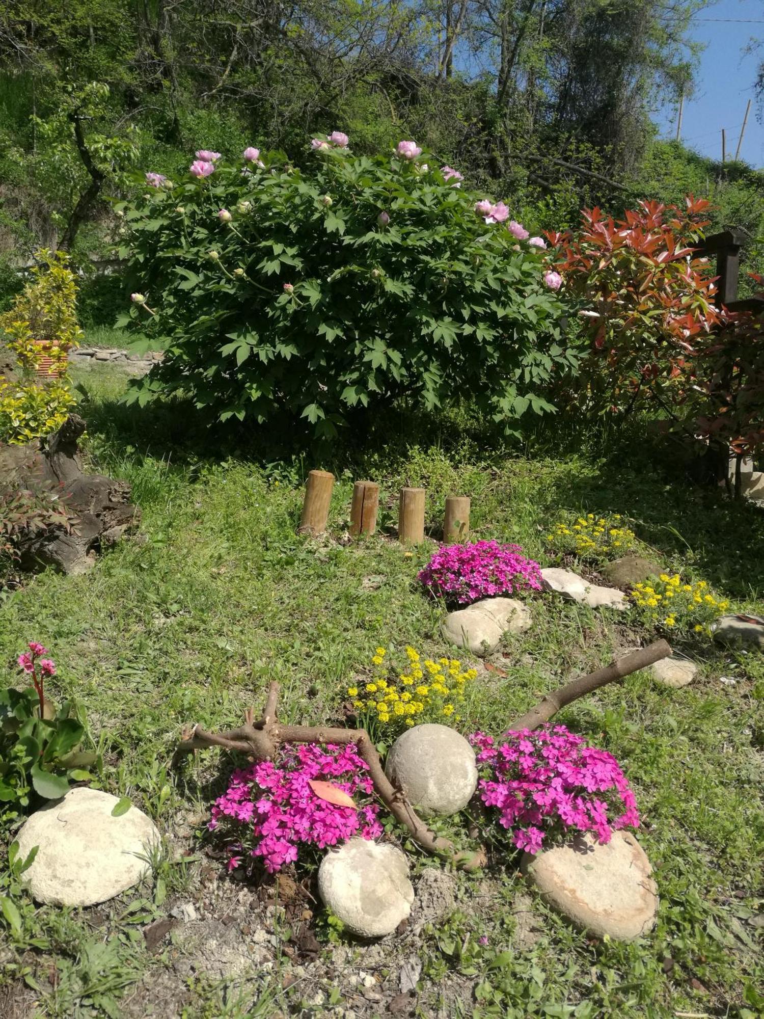 Villa Le rose di Mapi à Mango Extérieur photo